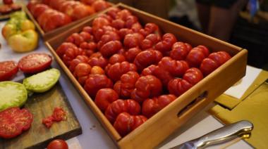 Segunda edición del Festival del Tomate: apuesta al sabor y a la sustentabilidad