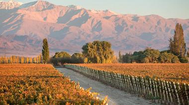 El emblemático distrito que crece en el Valle de Uco y se posiciona como el primer "Pueblo del Vino" de la Argentina