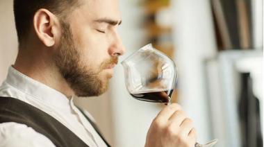 Masters of Wine: Mendoza se prepara para recibir a los expertos que más saben de vino del mundo