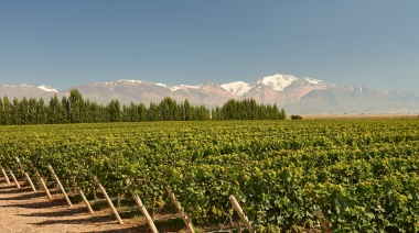 Vitivinicultura extrema: así son los nuevos vinos del viñedo más alto del Valle de Uco