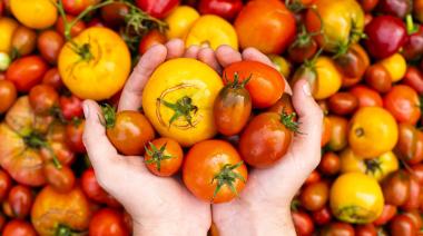 El tomate mendocino tendrá su propia fiesta en Casa Vigil