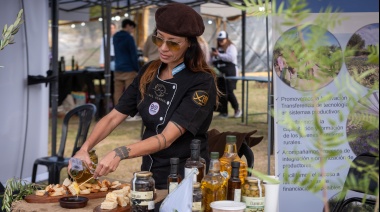 Mayo, Mes de la Oliva: cómo Mendoza convierte el aceite en motor turístico y económico