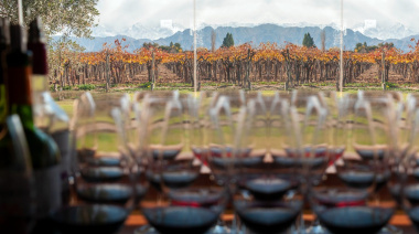 230 bodegas abiertas al turismo: Mendoza afianza su rol en el enoturismo nacional