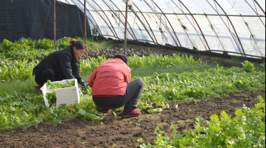 Caso de éxito: Mendoza consolida su posición como referente global en agro y sostenibilidad