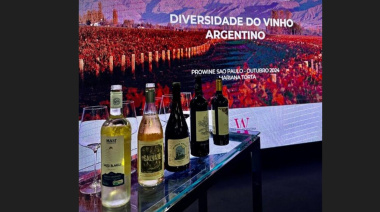 El vino argentino crece un 22% en Brasil: auge de los blancos y apuesta a los desalcoholizados