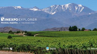 El mundo del vino llega a Mendoza: una oportunidad única para las bodegas con proyección internacional