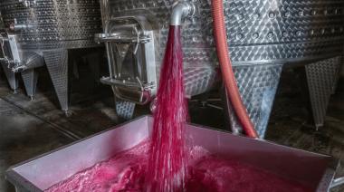 Vino a granel: Argentina vende a precios altos pero exporta menos que Chile