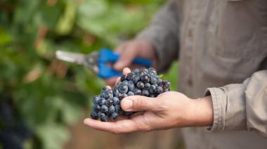 Alianza histórica para impulsar la sustentabilidad y el crecimiento de la vitivinicultura argentina