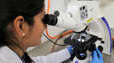 Mendoza lanza el programa WISE para potenciar empresas de base tecnológica