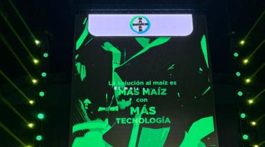 Bayer lo hizo: el maíz floreció en la Pampa semiárida y desafió lo imposible