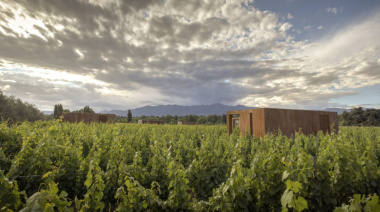 Dormir entre viñedos y despertar frente a Los Andes: así es el hotel de vino elegido como el mejor de la Argentina