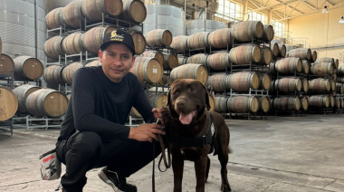 Olfato de precisión: perros entrenados para detectar contaminantes recorren bodegas líderes de Mendoza