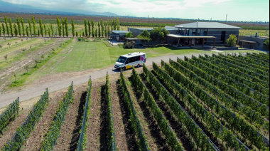 Luján de Cuyo, potencia mundial: tres bodegas en el Top 10 y ocho entre las mejores 50 según Forbes