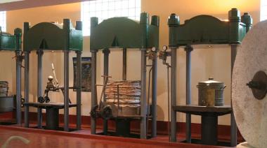 De Mendoza al mundo: 500 hectáreas de olivares, 80.000 turistas y el premio a la Mejor Empresa Agroindustrial