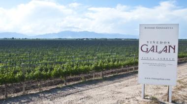 Revés judicial para Bodegas Galán: la Justicia ordenó medidas cautelares sobre 11 inmuebles