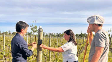 Bees IoT: el proyecto que previene heladas en viñedos con sensores inteligentes