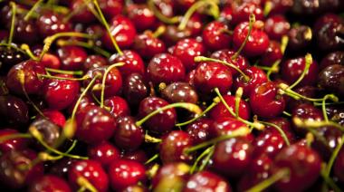 Cerezas en Mendoza: la cumbre internacional que reunirá a referentes de cinco países