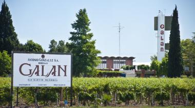 Juicio con Iberte: una pericia oficial pone contra las cuerdas a Bodega Galán de San Martín