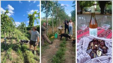 No estoy verde: el Charly García mendocino que hace vinos "fuera de la autopista" en Lujánación