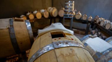 Reconversión inteligente: en Mendoza la uva criolla se transforma en aceto balsámico