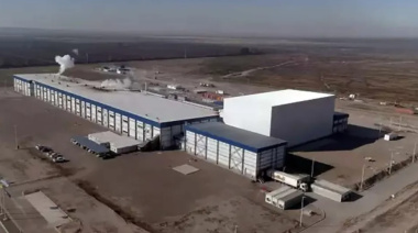 Simplot, la multinacional que convirtió a Mendoza en referente mundial de la papa congeladaa