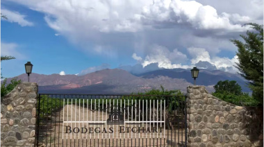Expansión: Molinos Río de la Plata compró la salteña Etchart y suma su sexta bodega en Argentina
