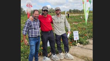 Semillas de tomate: el proveedor mendocino que abastece a Heinz y a los gigantes de la industria