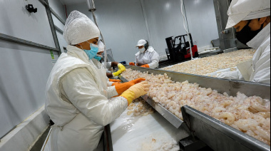 Exportaciones: Cabo Vírgenes compró Sea Fresh y reconfigura el mapa de la pesca argentina