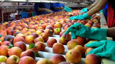 Oportunidad para productores: Cómo anotarse en Mendoza Southern Food para venderle al mundo