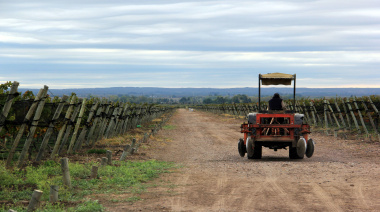 La empresa que ayuda a hacer e invertir en vinos incorpora producción propia en Italia