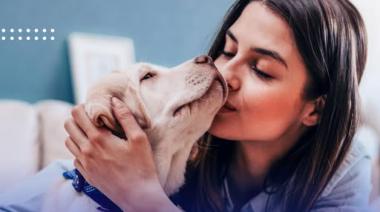 Nuevo beneficio: ahora los socios de OSDE cuentan con cobertura veterinaria para sus mascotas