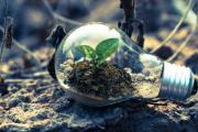 ¿Tenés un proyecto para la sostenibilidad ambiental? La Ciudad y el Banco Galicia lanzan el Fondo Verde