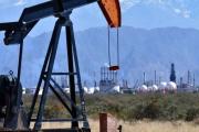 Mendoza recibió ofertas de u$s33 millones por 5 áreas de hidrocarburos