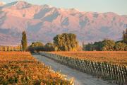 El emblemático distrito que crece en el Valle de Uco y se posiciona como el primer "Pueblo del Vino" de la Argentina