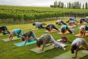 Yoga y bienestar en los viñedos: vuelve la original experiencia enoturística para relajarse en Mendoza