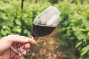 El INV simplificó los trámites para la elaboración de vinos artesanales y caseros