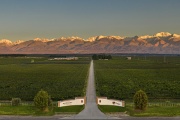 Experiencia Gaia: el plan perfecto para amantes del vino, la gastronomía y el relax entre viñedos del Valle de Uco