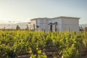 Abre sus puertas Viamonte Winery Lodge: una experiencia de lujo en el corazón de Luján de Cuyo