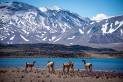 Laguna del Diamante abrió su temporada 2025 con más de 340 visitantes en su primer día