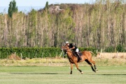 Arte, vinos y mucho glamour en el Valle de Uco: Bodega Château d'Ancón inauguró una cancha de polo en medio de los viñedos