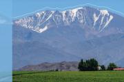 Histórico: Mendoza será sede de uno de los grandes eventos del mundo del vino