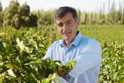 Pablo Cúneo fue elegido “Enólogo del año” por la Guía Descorchados