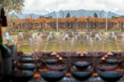 230 bodegas abiertas al turismo: Mendoza afianza su rol en el enoturismo nacional
