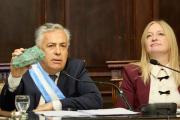 Mendoza podría convertirse en el primer productor de cobre del país