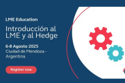 Mendoza recibe respaldo internacional para proyectarse como hub minero y financiero