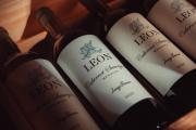 El vino mendocino inspirado en los grandes del mundo, elegido como “descubrimiento del año”