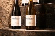En Neuquén: Marantiqua, la nueva bodega patagónica de Grupo Trapiche