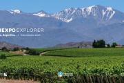 El mundo del vino llega a Mendoza: una oportunidad única para las bodegas con proyección internacional