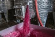 Vino a granel: Argentina vende a precios altos pero exporta menos que Chile