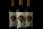 “Héroe de los Andes”: un vino que revive la gesta sanmartiniana desde el corazón del Valle de Uco